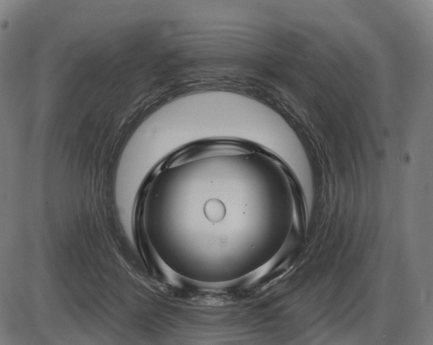 X0000085320412200703161511