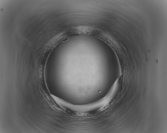 X0000085320413200703161511