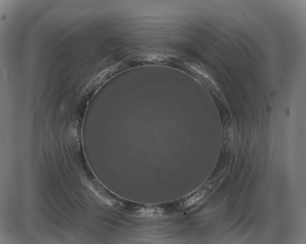 X0000085320415200703161511