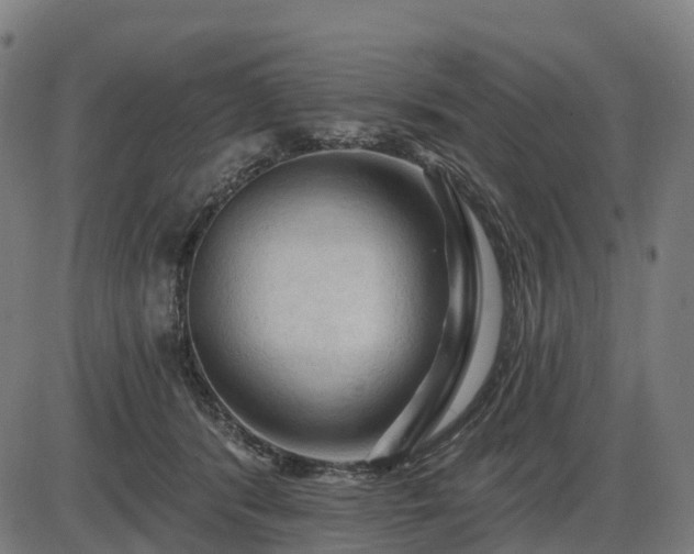 X0000085320416200703161510