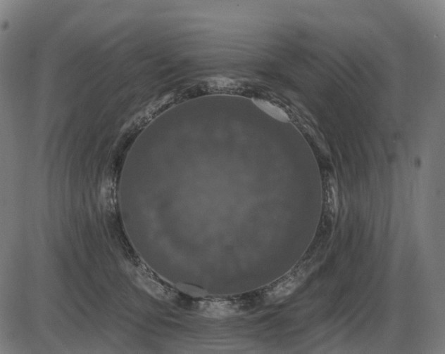 X0000085320419200703161510
