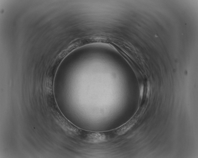 X0000085320421200703161510