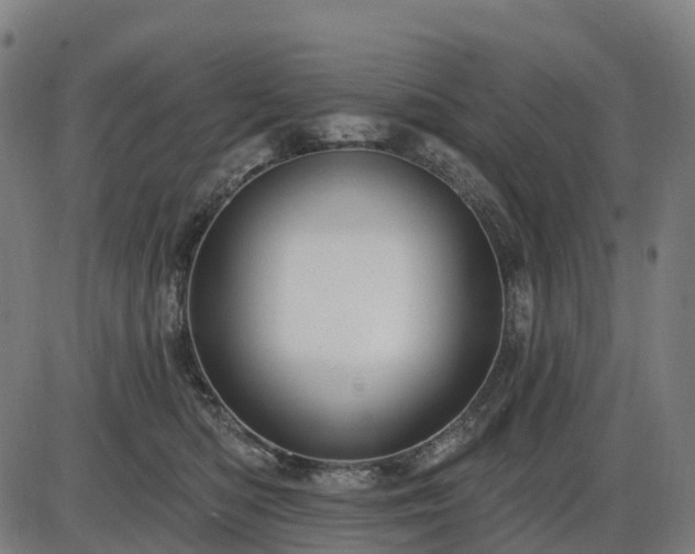 X0000085320422200703161510