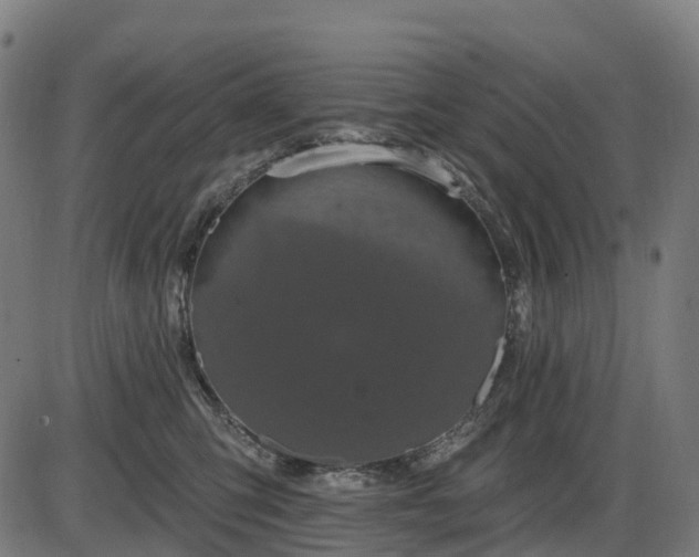 X0000085320423200703161510