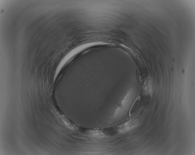 X0000085320424200703161510