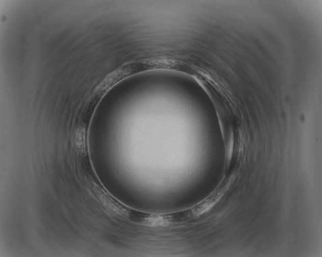 X0000085320425200703161510