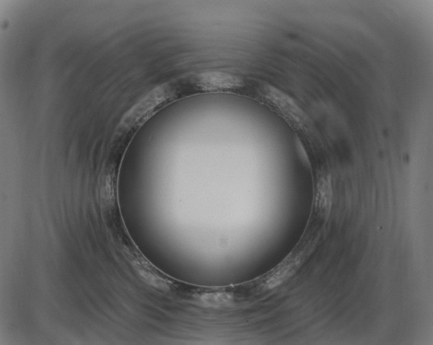 X0000085320426200703161510