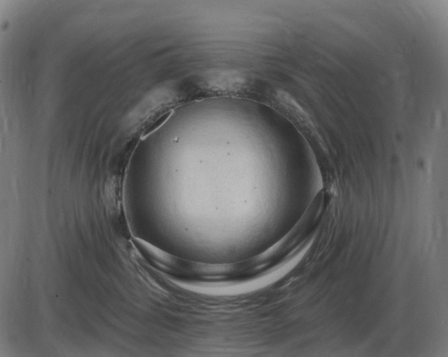 X0000085320428200703161510