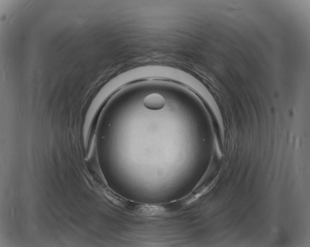 X0000085320429200703161510