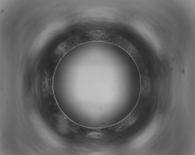 X0000085320430200703161510