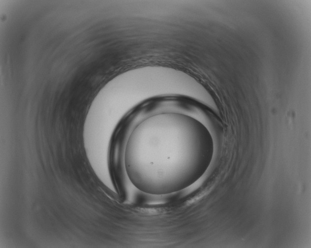 X0000085320432200703161510