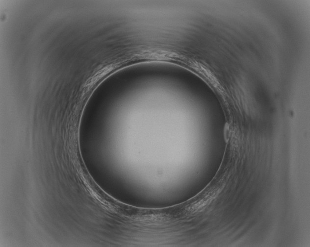 X0000085320433200703161509