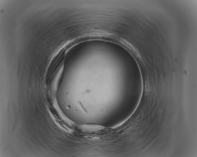 X0000085320436200703161509