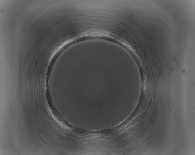 X0000085320438200703161510
