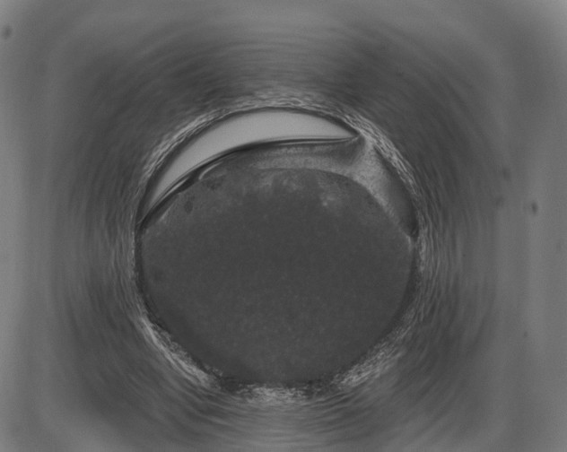 X0000085320442200703161510