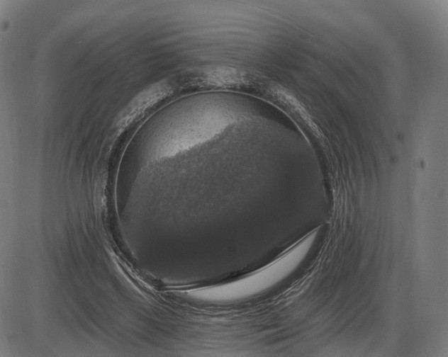 X0000085320443200703161510