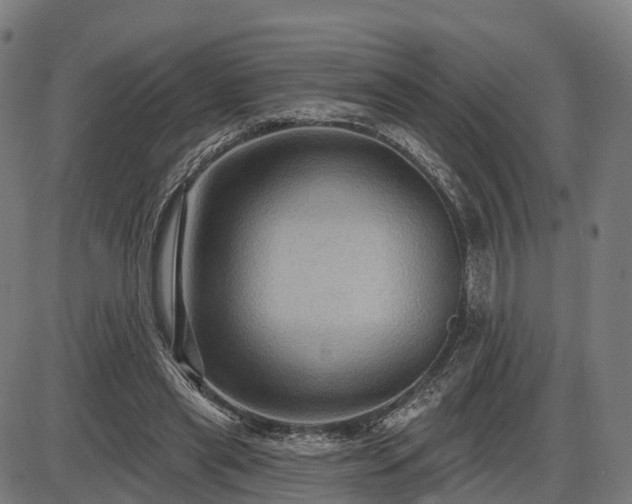 X0000085320445200703161510