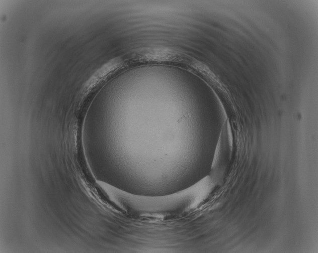 X0000085320446200703161510