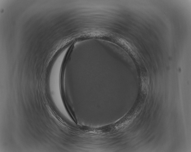 X0000085320447200703161510