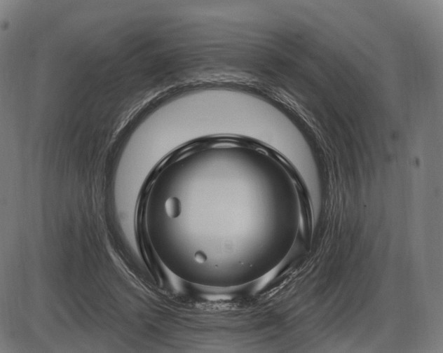 X0000085320448200703161510