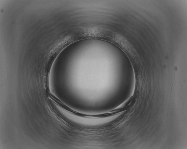 X0000085320450200703161510