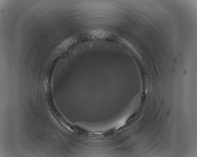 X0000085320451200703161510