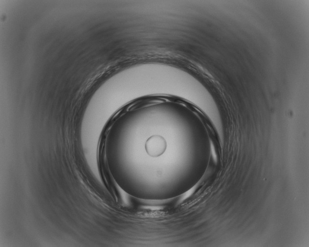 X0000085320452200703161510