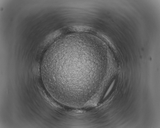 X0000085320453200703161510