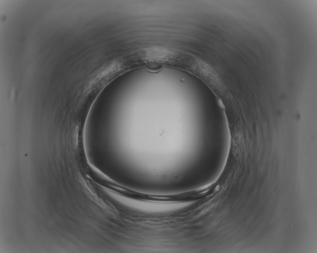 X0000085320454200703161510