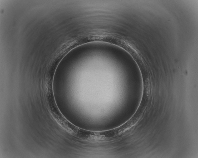 X0000085320455200703161510
