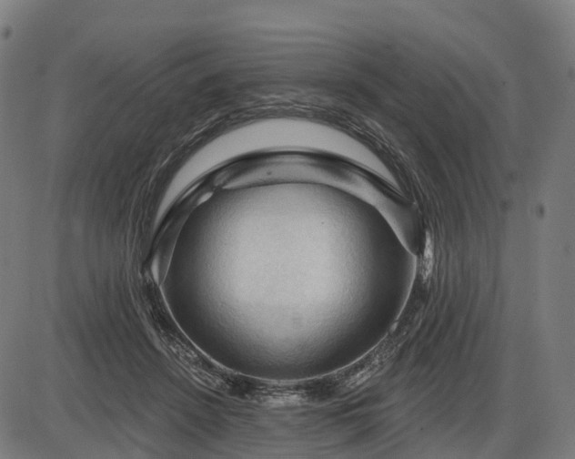 X0000085320456200703161510