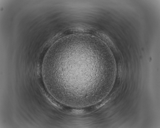 X0000085320457200703161510