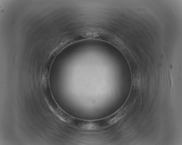 X0000085320460200703161510