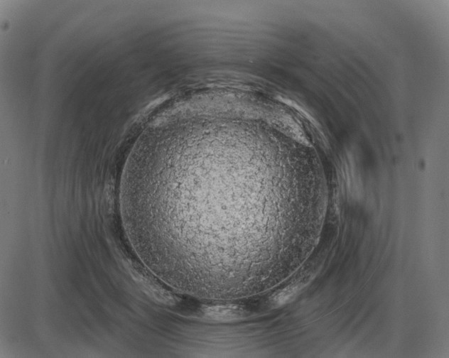 X0000085320461200703161510