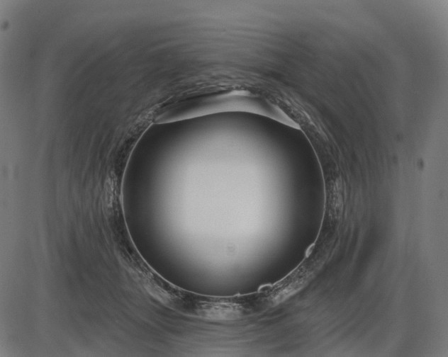 X0000085320463200703161510