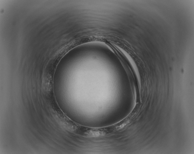 X0000085320464200703161510