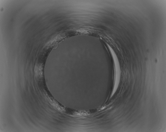 X0000085320466200703161510