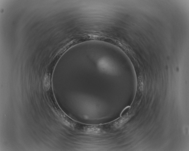 X0000085320471200703161510
