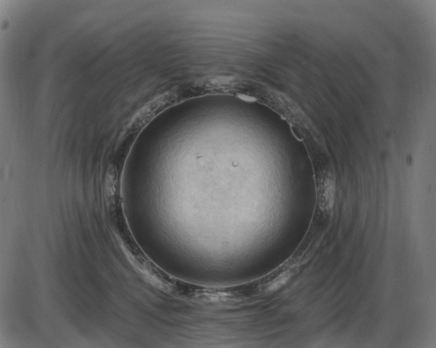 X0000085320472200703161510