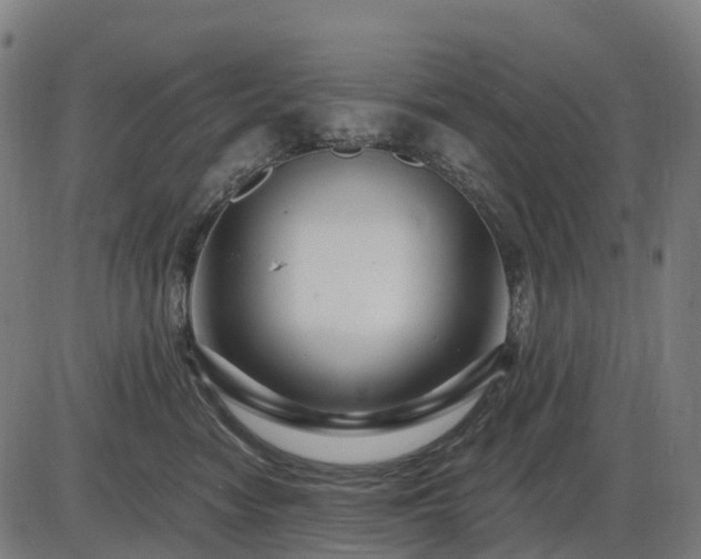 X0000085320474200703161510