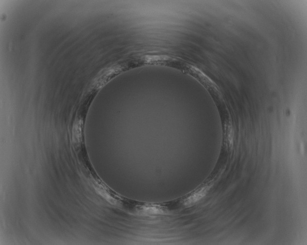 X0000085320475200703161510