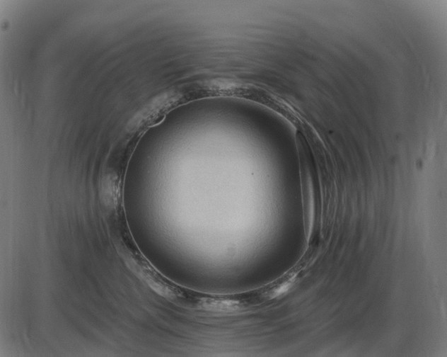 X0000085320476200703161510