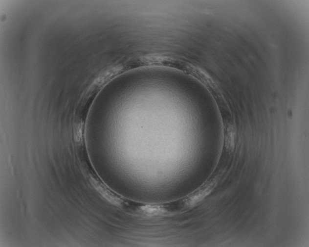 X0000085320477200703161510