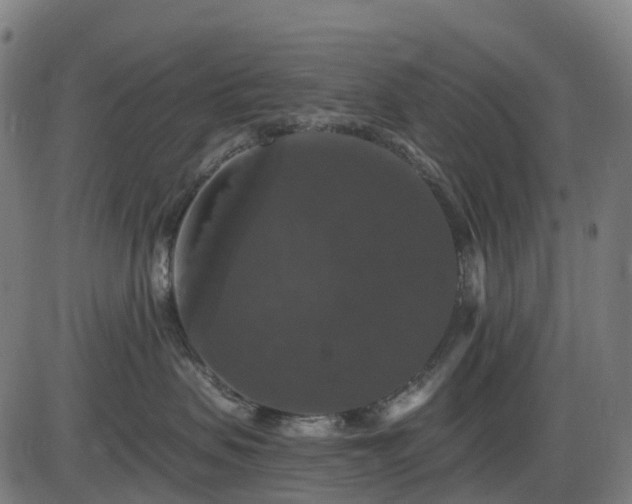 X0000085320479200703161510