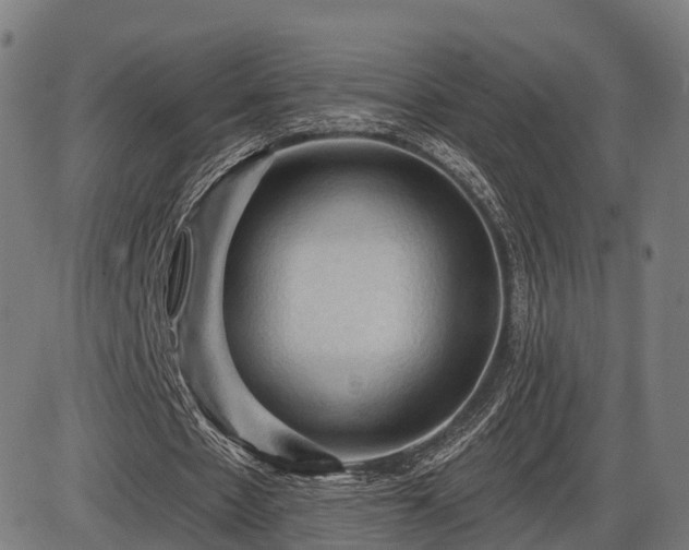 X0000085320481200703161509