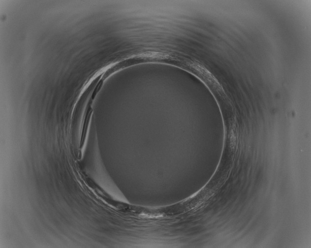 X0000085320484200703161509