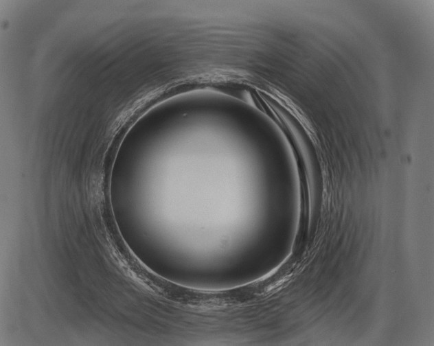 X0000085320485200703161509