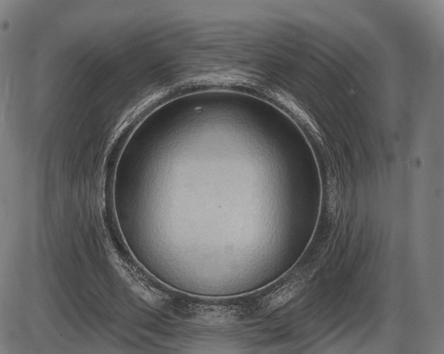 X0000085320486200703161509