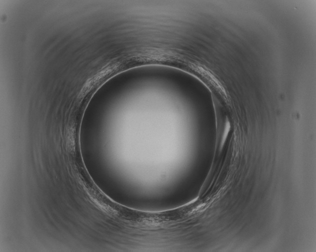 X0000085320489200703161509