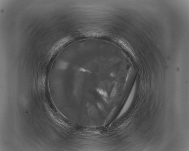 X0000085320491200703161509